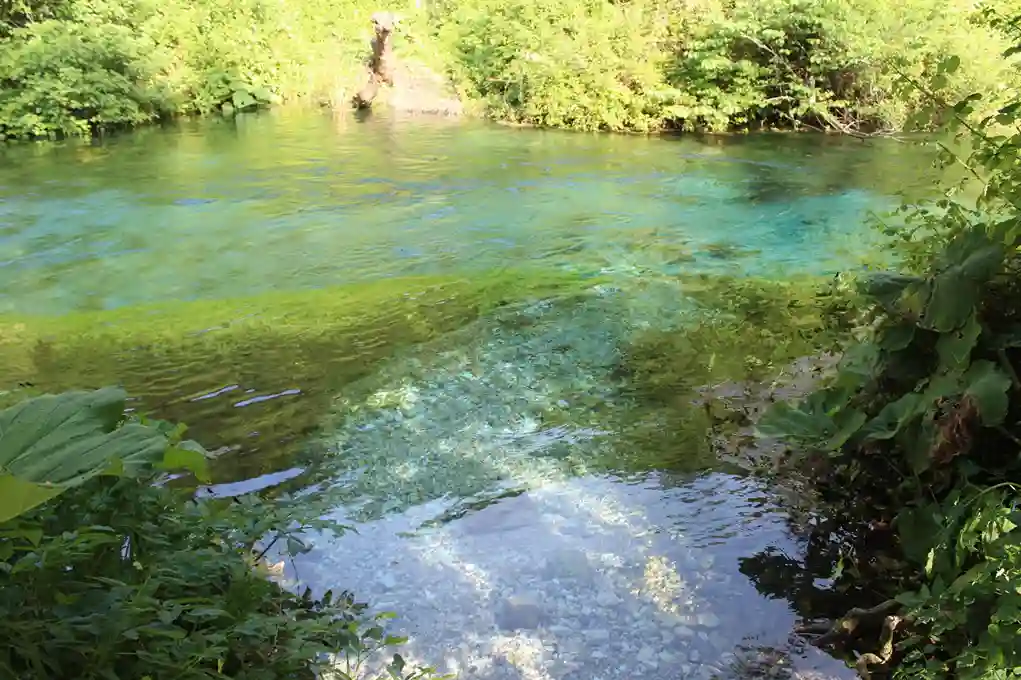 Blauw water en groene natuur bij The Blue Eye in Albanië