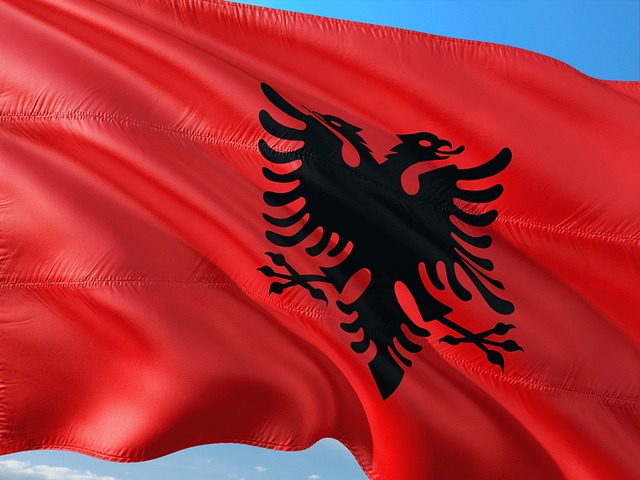De albanese vlag met de klassieke arend