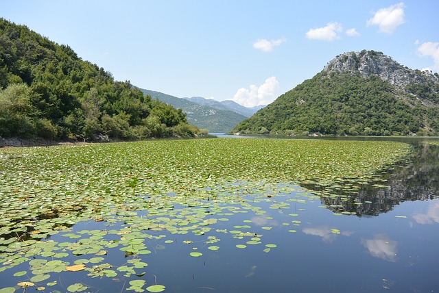 Meer van Skadar in Montenegro